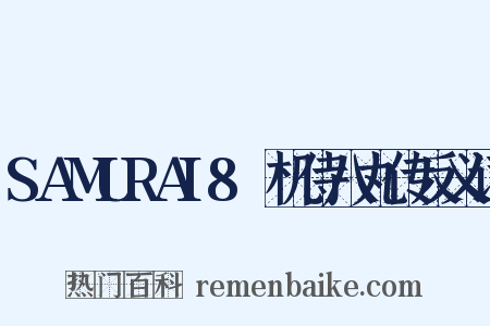 SAMURAI8～机侍八丸传反义词是什么意思的图片